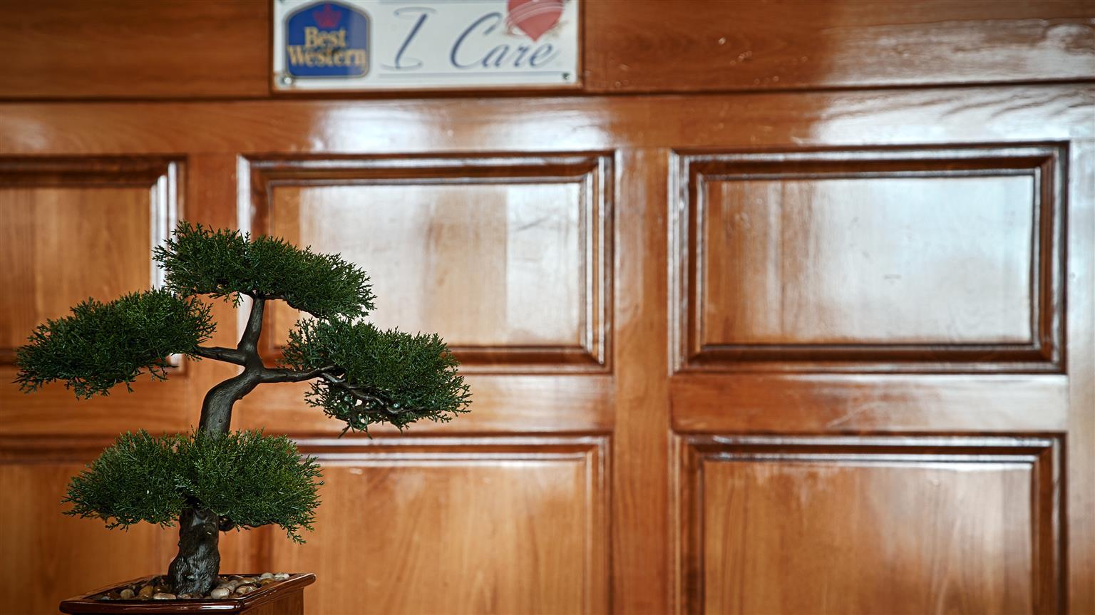 Best Western Montis Inn Saint Robert Esterno foto